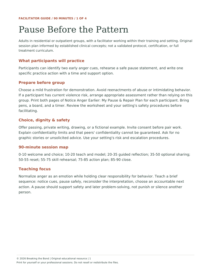 First page preview of Pause Before the Pattern